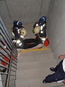 bild (15)